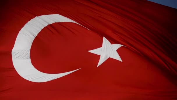 Размахивание Огромным Турецким Флагом — стоковое видео