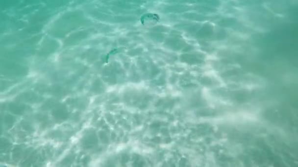 Luftblasen Und Laugen Unter Wasser Salda Yesiolva Burdur See Türkei — Stockvideo