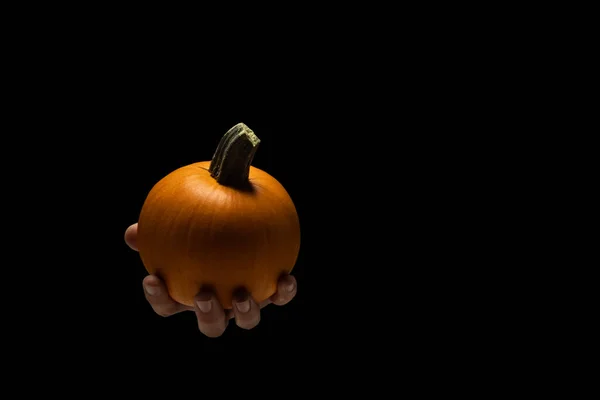 Pumpkin in hand of a man on a black background.
