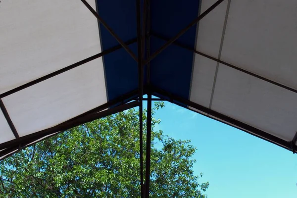 Blue Sky Green Tree Crown Awning Sun — 图库照片