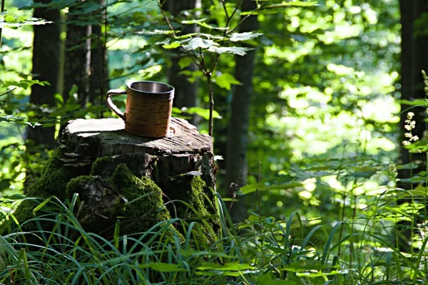Metallbecher Einem Lederetui Auf Einem Baumstumpf Mit Einem Unscharfen Hintergrund — Stockfoto