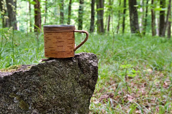绿林花岗岩石上皮箱金属杯 — 图库照片