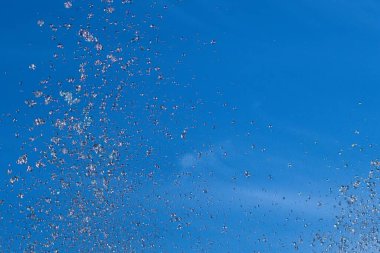 Mavi gökyüzü arka planında donmuş su spreyi