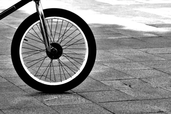 Bicicleta Roda Bicicleta Estrada Laje Pavimentação Cinza Representação Preto Branco — Fotografia de Stock