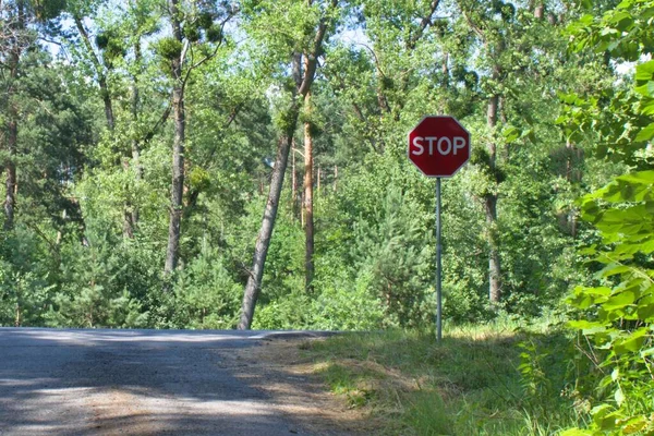Señal Tráfico Stop Bosque —  Fotos de Stock