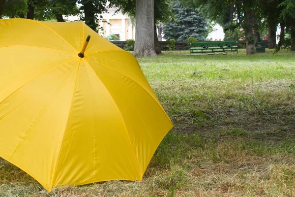 Guarda Chuva Amarelo Parque Grama — Fotografia de Stock