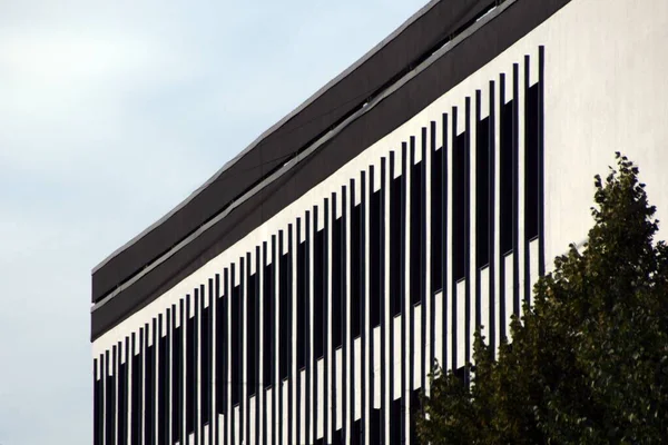 带动态几何窗口的商务中心黑白立面 — 图库照片
