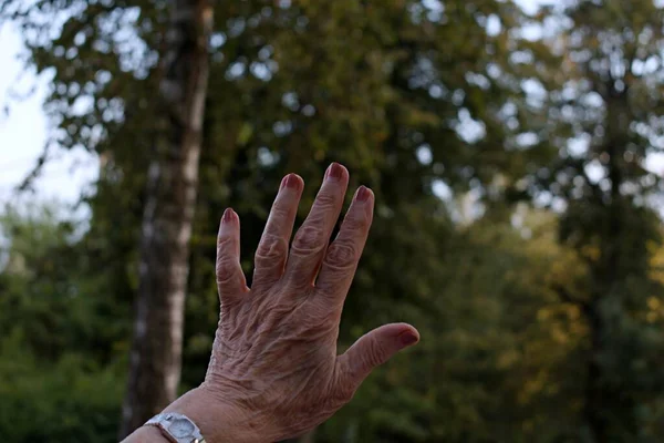 Finger Einer Älteren Frauenhand Mit Verschwommenem Vordergrund Und Hintergrund — Stockfoto