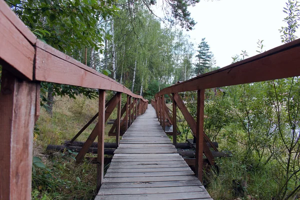 湖边有一条木桥 有栏杆 通往森林 — 图库照片