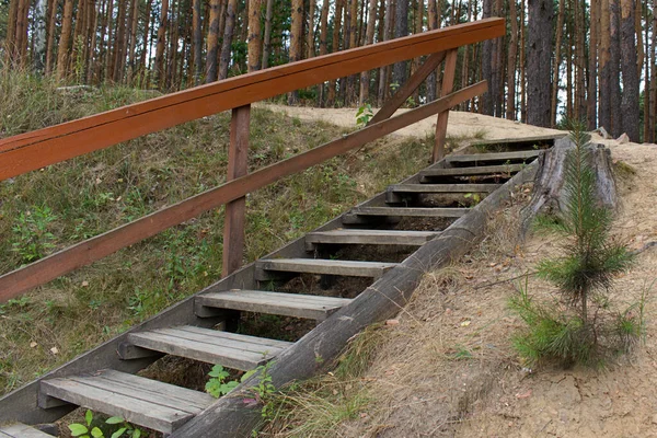 林子里有栏杆的木制楼梯 — 图库照片