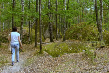 Kız yeşil ormandaki eski yosunlarla kaplı dev kayalara doğru yürüyor.