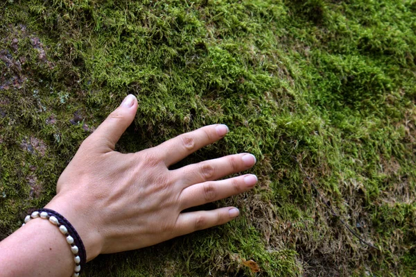 Female Hand Huge Stone Covered Green Moss — Stock Photo, Image