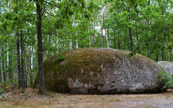 背景に緑の苔で覆われた巨大な岩は — ストック写真