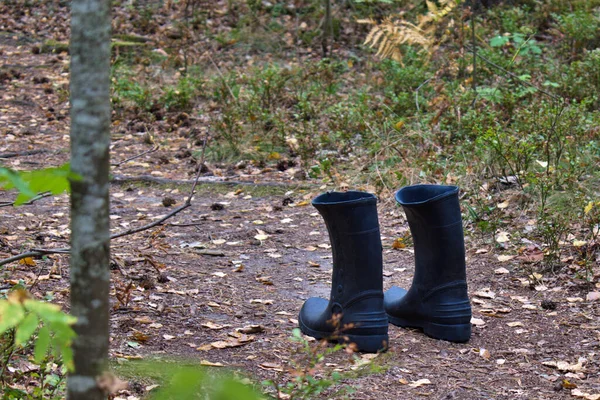 Alguien Dejó Botas Sendero Del Bosque —  Fotos de Stock