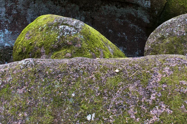 Enorme Roca Cubierta Musgo Verde Sobre Fondo Borroso —  Fotos de Stock