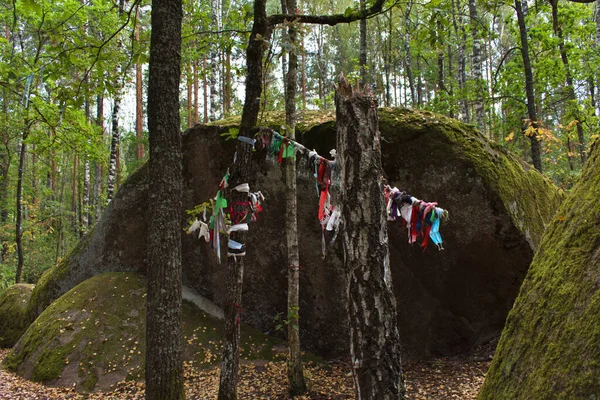 Serpihan Kain Yang Beraneka Warna Pada Cabang Pohon Dengan Latar — Stok Foto