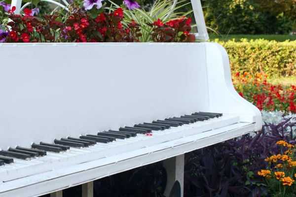 公园内露天的白色金属大钢琴 背景模糊 色彩艳丽 多彩多姿 — 图库照片