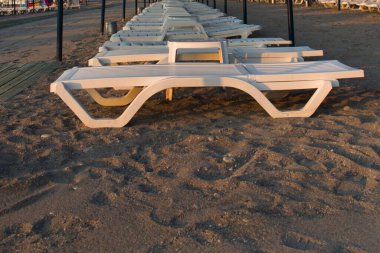 Sabahın erken saatlerinde kumlu sahilde insansız güneşlenirler.