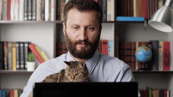 Hombre con gato trabajando en la computadora. Trabajador barbudo enfocado freelancer empresario vendedor en el lugar de trabajo sosteniendo gato y tecleando en el teclado portátil ingresa datos. Primer plano — Vídeo de stock