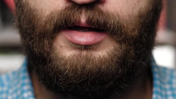 Een man met een baard likt haar lippen. Travestie kerel loopt haar tong eerst op haar bovenlip en vervolgens op haar onderlip — Stockvideo