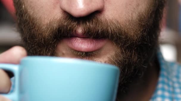 El barbudo está bebiendo café o té. Mano masculina trae taza azul a su boca y bebe café o té de ella — Vídeo de stock