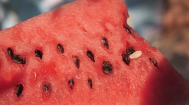 Karpuz. Güneşli bir günde kadın avuçlarında güzel taze karpuz görüntüsü, kamera yavaşça hareket eder.