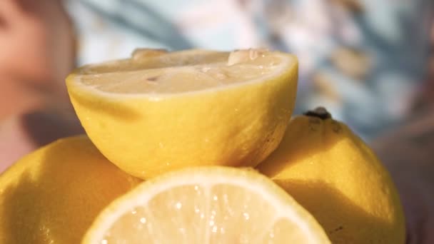 Citronové ovoce. Detailní záběr krásného čerstvého citronu v ženských dlaních za jasného slunečného dne, kamera se pomalu pohybuje — Stock video