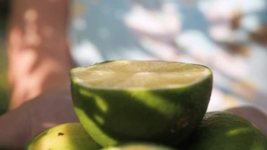 Limonlu meyve. Güneşli bir günde kadın avuçlarında güzel taze kireç görüntüsü, kamera yavaşça hareket ediyor.