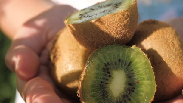 Kiwi gyümölcs. Közelkép gyönyörű friss kiviről női tenyerekben, tiszta napsütéses napon, a kamera lassan mozog. — Stock videók