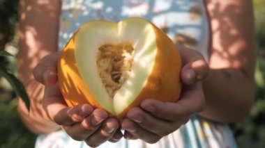 Kavun. Kadın eli, güneşli bir günde palmiyelerde taze kavun tutar. Yakın plan.