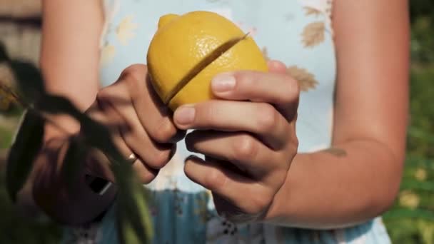 Lemon. Las manos femeninas sostienen el limón y lo cortan en dos trozos. Primer plano — Vídeo de stock