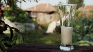 Bira cama dökülür. Hafif bira, kır evi ve doğanın arka planına karşı şeffaf bardağa dökülüyor. Yakın plan.