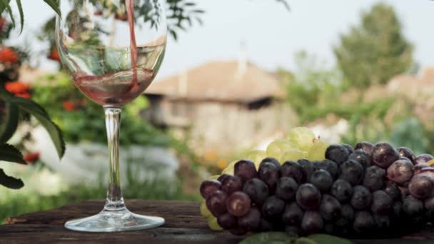 Rødvin hældes i glas. Vin hældes i gennemsigtigt glas på baggrund af landsted og natur, ved siden af er der friske druer. Nærbillede – Stock-video