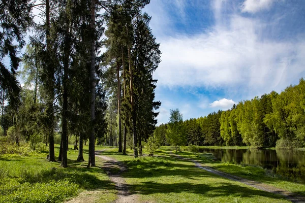 Lago Bosque Con Reflejo Los Árboles Agua — Foto de Stock