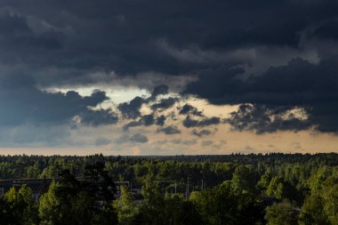 Ormanın üzerinde kara bulutlar