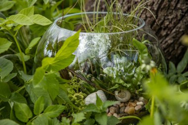 Yuvarlak bir floraryumda dekoratif kompozisyon