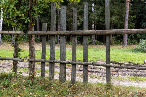 Oud Houten Hek Groen Gras — Stockfoto