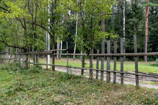 Παλιά Ξύλινο Φράχτη Και Πράσινο Γρασίδι — Φωτογραφία Αρχείου