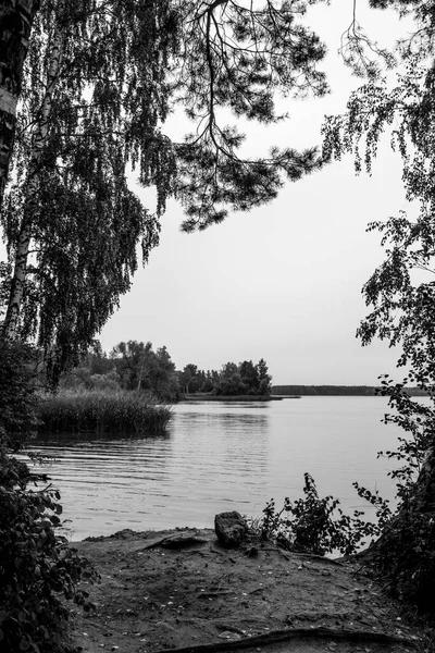 Vista Superficie Del Río Con Árboles Cañas — Foto de Stock