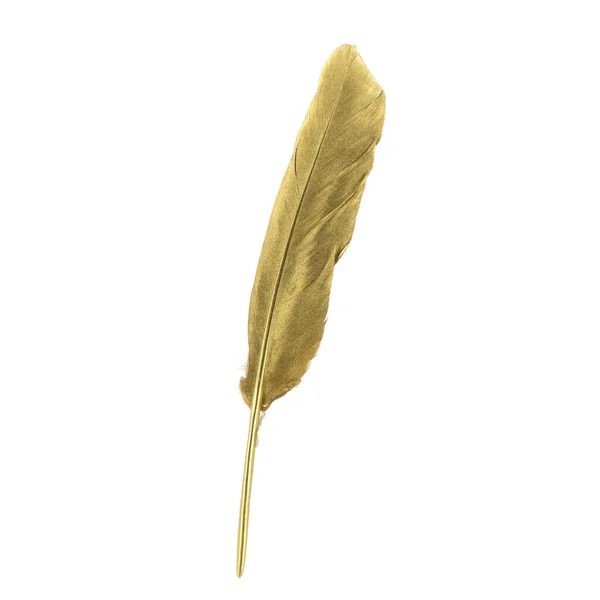 Golden Feather Den Vita Bakgrunden Isolerad — Stockfoto