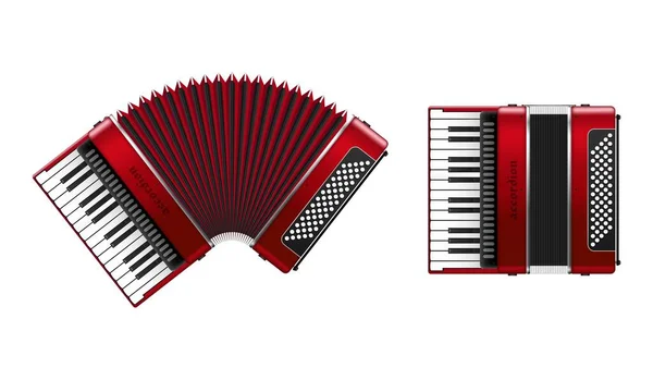 Realistic Accordion Vector Illustration Isolated White Background — Stock Vector