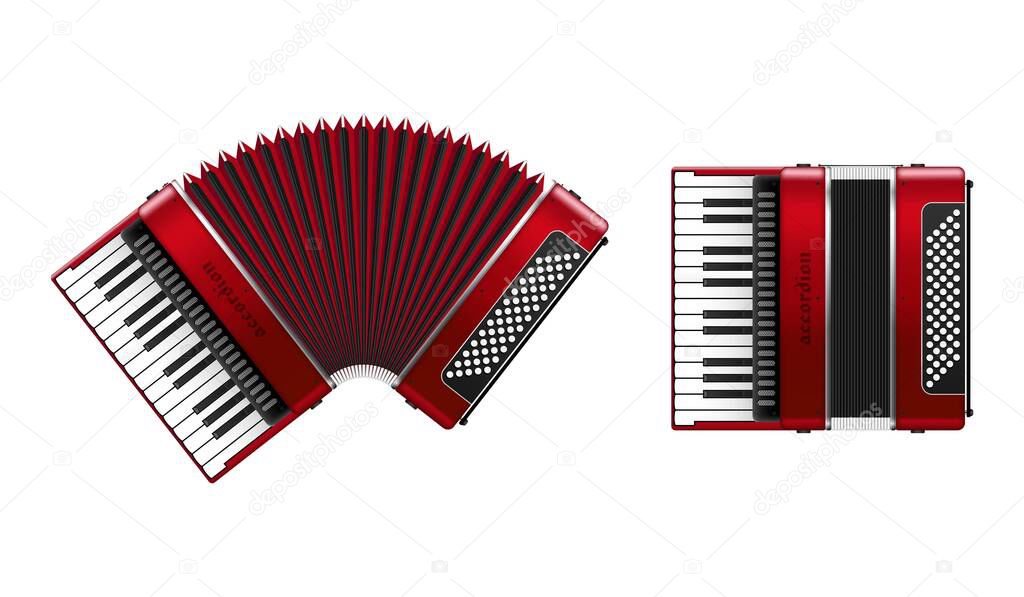 Realistic accordion vector illustration isolated on white background