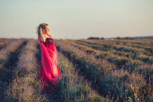Beautiful Pregnant Woman Relaxing Lavender Field Watching Sunset Blond Lady — Stock Photo, Image