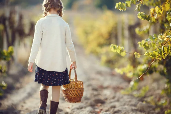 屋外でブドウを持つ少女 シリーズ秋 プロヴァンス地方 — ストック写真