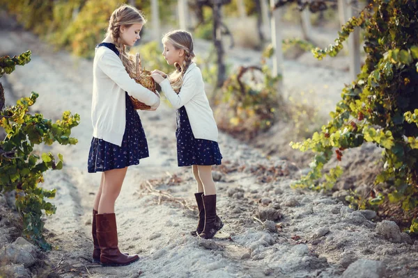 Klein Meisje Met Druiven Buiten Serie Herfst Provence Platteland — Stockfoto