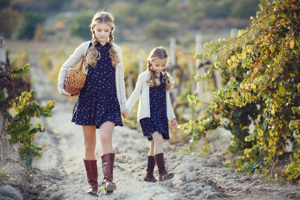屋外でブドウを持つ少女 シリーズ秋 プロヴァンス地方 — ストック写真