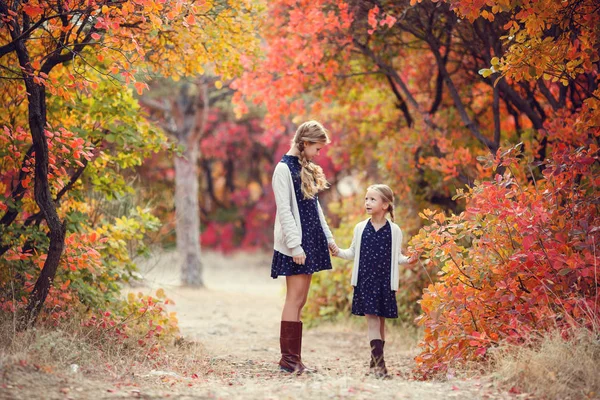 暖かい秋の日に公園で遊んでいる2人の陽気な姉妹 — ストック写真