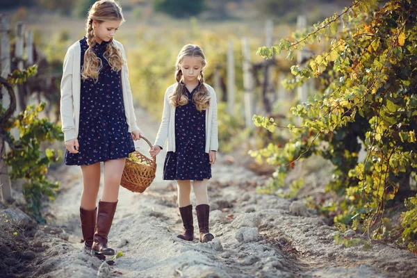 Klein Meisje Met Druiven Buiten Serie Herfst Provence Platteland — Stockfoto