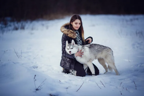 美しい景色を眺めながら山の中にいるシベリアのハスキー犬を持つ女性ハイカー — ストック写真