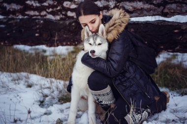 park Sibirya husky köpek ile kadın fiyatı